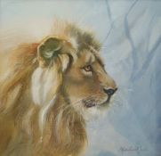 Mollie Everett Field (British 1939-): Portrait of a Lion, watercolour signed 20cm x 20cm