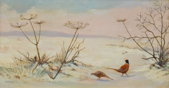 Berrisford Hill (British 1930-): Pheasants in the Snow, oil on board signed 12cm x 24cm