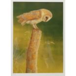 Robert E Fuller (British 1972-): Owl on a Tree Stump, limited edition colour print signed and number