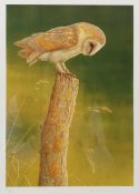 Robert E Fuller (British 1972-): Owl on a Tree Stump, limited edition colour print signed and number