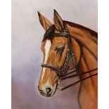 Joe Townend GRA (British 1946-): Portrait of a Bay Horse, oil on canvas signed with initials 50cm x