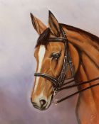 Joe Townend GRA (British 1946-): Portrait of a Bay Horse, oil on canvas signed with initials 50cm x