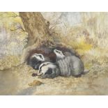 Brian Needham (British ?-2004): Badgers and Rural Footbridge, two watercolours signed and dated '88