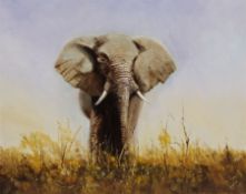 Joe Townend GRA (British 1946-): Elephant, oil on canvas signed 40cm x 50cm (unframed)