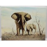 Joe Townend GRA (British 1946-): Elephants on the Savannah, oil on canvas signed 45cm x 60cm (unfram