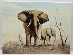 Joe Townend GRA (British 1946-): Elephants on the Savannah, oil on canvas signed 45cm x 60cm (unfram