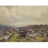 Albert George Stevens (Staithes Group 1863-1925): Sheep on a Heather Moorland, watercolour signed 17