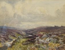 Albert George Stevens (Staithes Group 1863-1925): Sheep on a Heather Moorland, watercolour signed 17