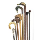 A group of assorted walking sticks