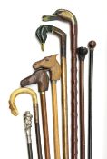 A group of assorted walking sticks