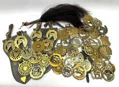 Various horse brasses including some on leather straps