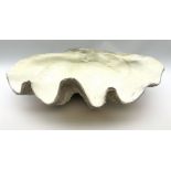 A composite model of a clam shell