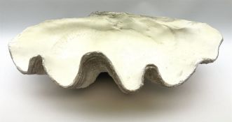 A composite model of a clam shell