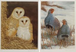 Robert E Fuller (British 1972-): 'Owls Snuggled Up' and 'Greys on Winter Stubble'