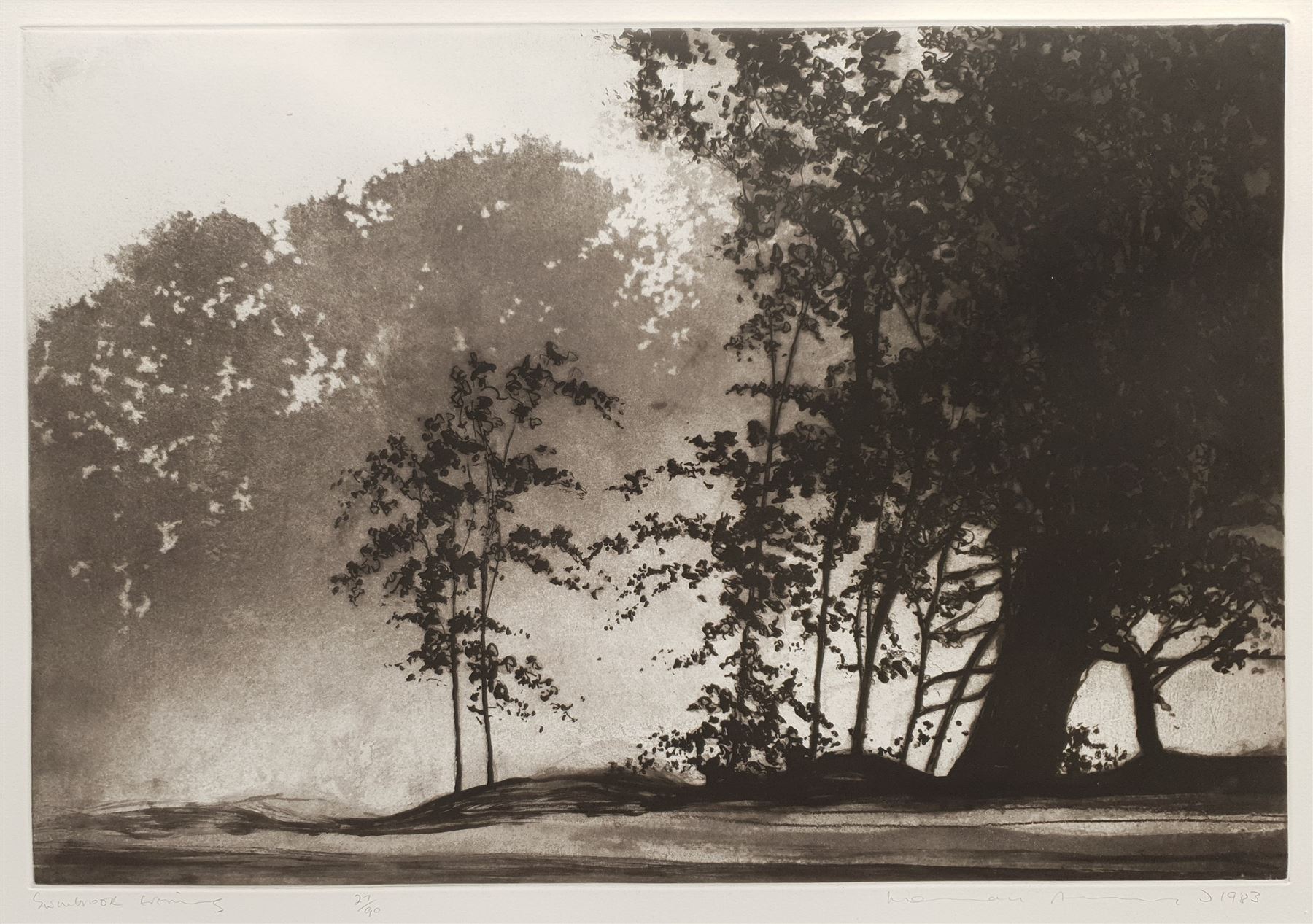 Norman Ackroyd CBE RA (British 1938-): 'Swanbrook Evening'