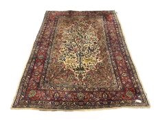 Persian ivory and red ground Tree of Life rug