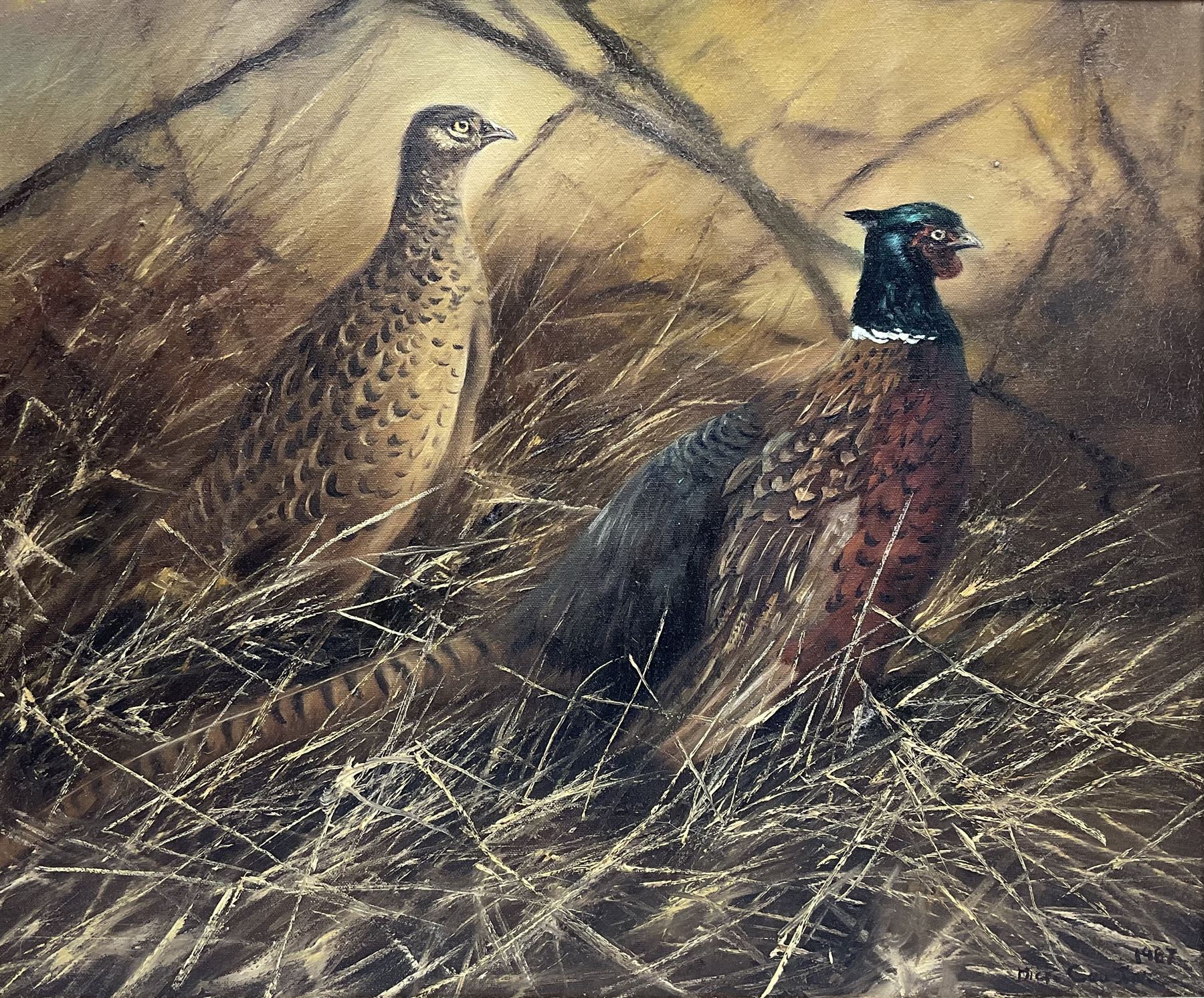 Mick Cawston (British 1959-2006): A Brace of Pheasants