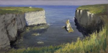 Neil Tyler (British 1945-): Selwick Bay Flamborough Head