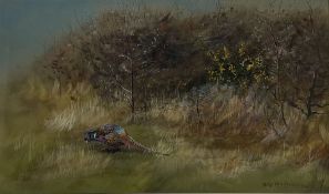 Philip Rickman (British 1891-1982): Pheasant emerging from the Undergrowth