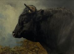 Alfred Grey ARHA (Irish 1845-1926): Study of a Bull's Head