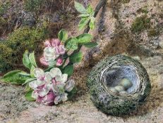 John Sherrin (British 1819-1896): Apple Blossom and Birds Nest on a Mossy Bank