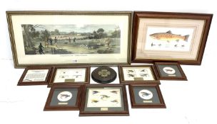 Framed and named reproduction fishing flies including 'Blue Doctor'