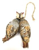 Taxidermy: Brace of two red-legged partridges (Alectoris rufa) tied together with rope around the