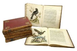 Edwards (George). Natural History of Uncommon Birds