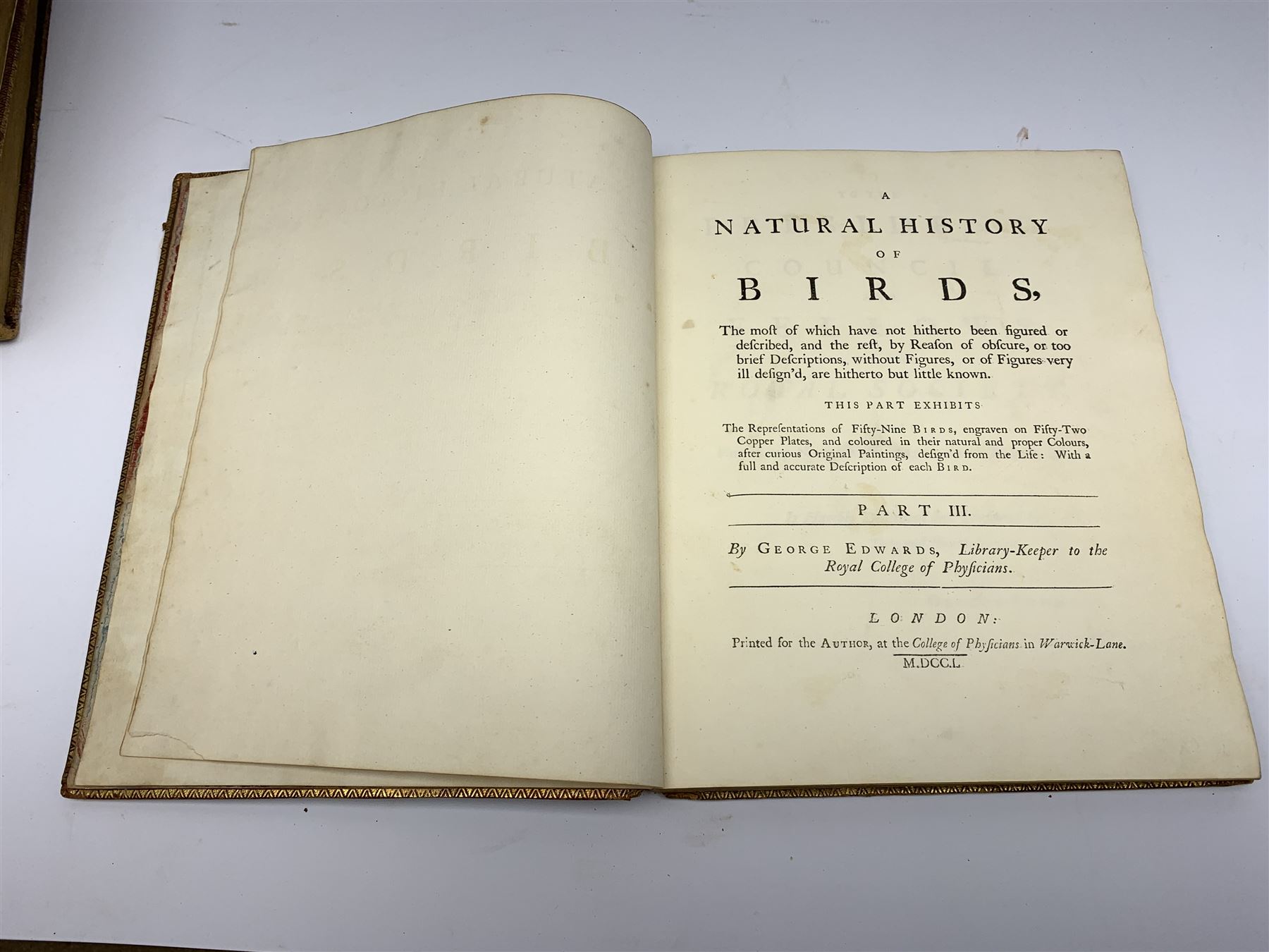 Edwards (George). Natural History of Uncommon Birds - Image 2 of 22