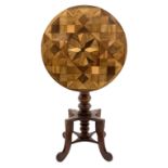 19th century tilt top specimen table