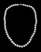 Single strand cultured white pearl necklace