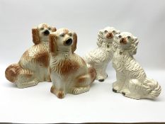 A pair of Victorian Staffordshire white glazed spaniels H34cm