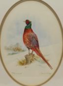 Jane Nagy (British 20th century): 'Pheasant'