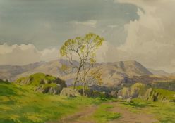 Ernest Ellis Clark (British 1869-1932): 'Coniston Hills'