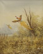 Redman (20th century): Pheasants Breaking Cover