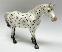 A Beswick model of an Appaloosa horse