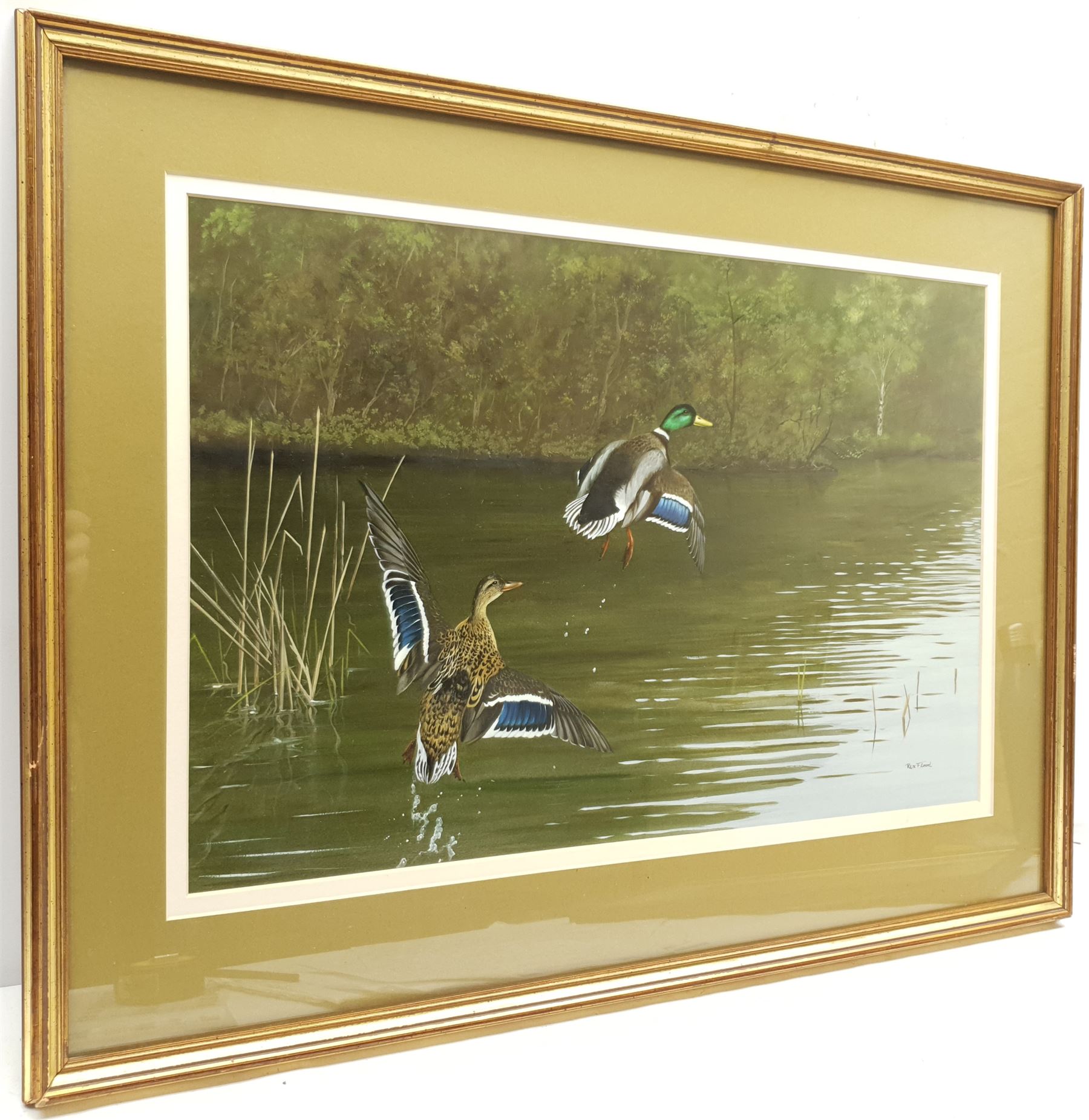 Rex Flood (British 1928-2009): Mallards Rising - Image 2 of 2