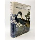 Peterson R.T. & V.M.: Audubon's Birds of America. The National Audubon Society Baby Elephant Folio w