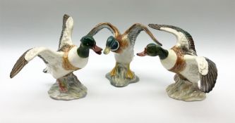 Three Beswick ducks