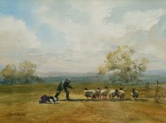 Brian Irving (British 1931-2013): Shepherd and Sheep