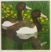 Frans Wesselman (Dutch/British 1975-): 'Tufted Ducks'