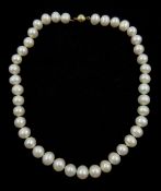 Single strand white cultured freshwater pearl necklace