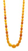 Amber bead necklace