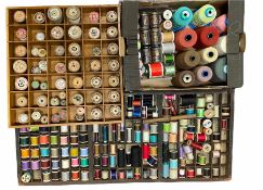 Early 20th century printers tray containing various cotton reels
