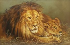 English School (20th century): Lions Resting