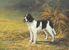 Mike Nance (British Contemporary): Portrait of a Spaniel