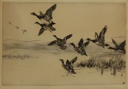 Winifred Maria Louise Austen (British 1876-1964): Mallards in Flight