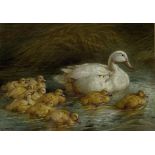 Harrison William Weir (British 1824-1906): Duck Swimming with Ducklings