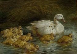 Harrison William Weir (British 1824-1906): Duck Swimming with Ducklings