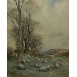 David Thomas Robertson (British 1879-1952): Sheep Grazing in a Yorkshire Landscape
